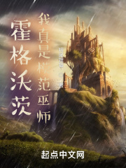 霍格沃茨:我真是模范巫师