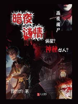 暗夜谜情