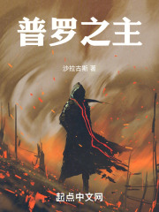 普罗之主小说免费阅读