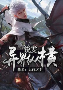 锐雯异界纵横小说评价