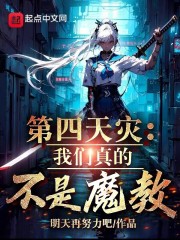 这真不是第四天灾小说