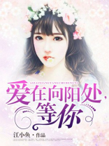 爱在向阳处等你全文免费阅读