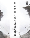 九天龙魂:战斗燃烧的青春