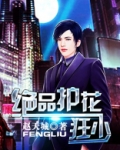 绝品护花狂少