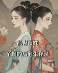 乱世双娇小说