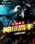 大海贼之神级高手