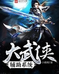 大武侠辅助系统