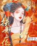 妻妾同娶的古言