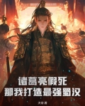 诸葛亮玩家