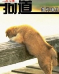 狗道
