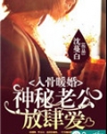 入骨暖婚：神秘老公放肆爱
