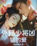 外国少将