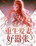 重生爱妻好嚣张