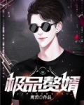 超级姑爷