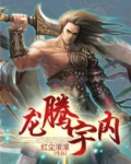 龙腾宇内小说下载