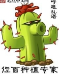 位面种植专家