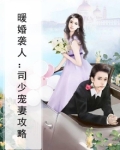 暖婚袭人:司少宠妻攻略