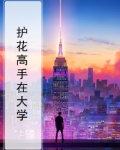 护花高手在大学