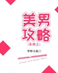 系统之美男攻略
