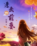 进击的前妻