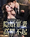 隐婚罪妻,高攀不起