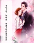 兽性总裁来敲门