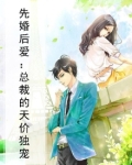 先婚后爱:总裁的天价独宠