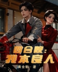 四合院:良民许大茂小说