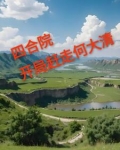四合院傻柱的崛起免费阅读
