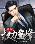 官途:权力巅峰陆皓免费
