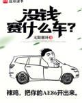 没钱赛什么车小说