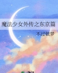 魔法少女外传之东京篇不过做梦