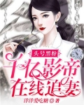 头号黑粉:千亿影帝在线追妻