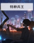 特种兵王叶凡全文免费
