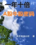 一年十倍大牛股