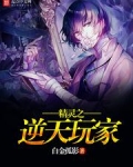 精灵之逆天玩家