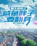 在娱乐圈混日子小说