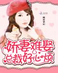 娇妻难娶总裁好心烦小说