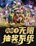 海贼王:无限抽奖系统