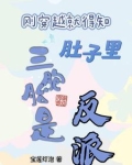 什么？我肚子里的三胞胎是反派？