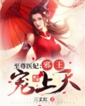 至尊医妃:邪王宠上天