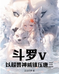 斗罗之超兽铠甲