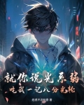 八分光轮素材