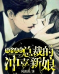 契约成婚:总裁的冲喜新娘
