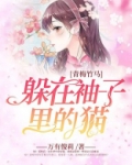 青梅竹马:躲在袖子里的猫