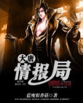 大唐情史说的是什么