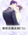 狼性总裁追捕小逃妻txt