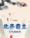 北齐霸主飞龙在天