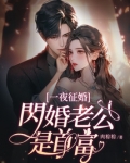 一夜征婚:闪婚老公是首富