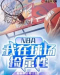 NBA:我在球场捡属性